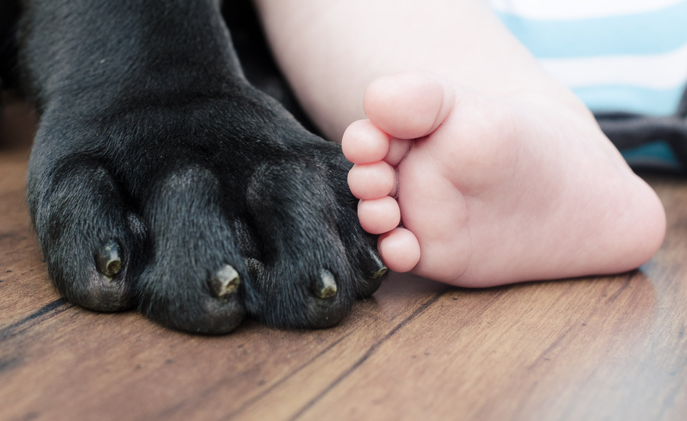 cagnolini e bambini