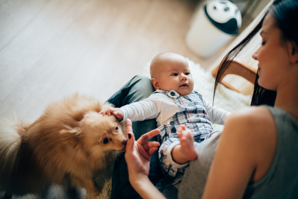 cagnolino e bambino