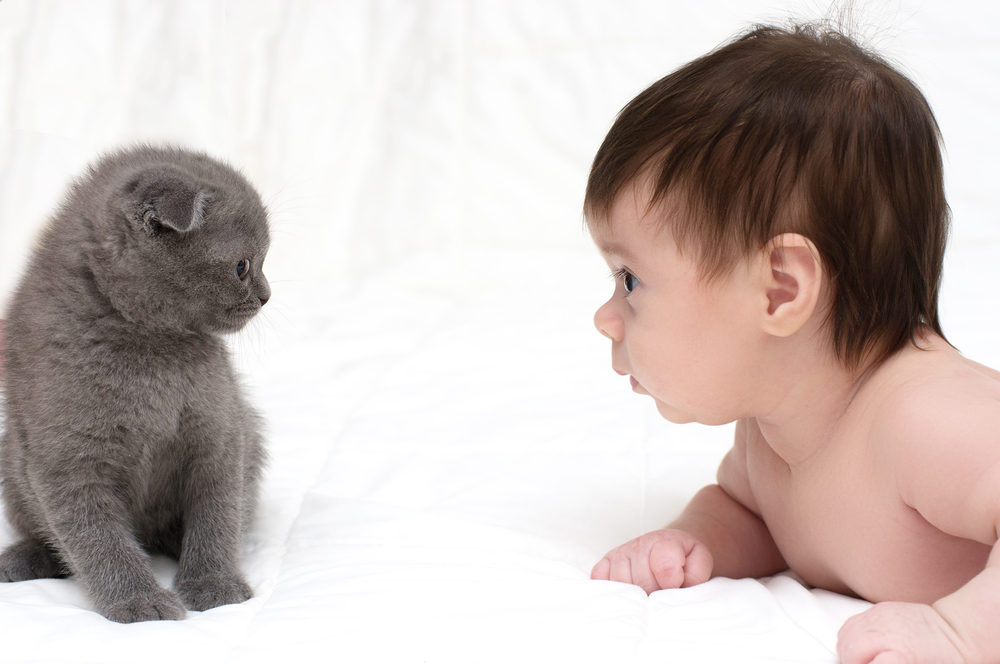 gatto e bambino