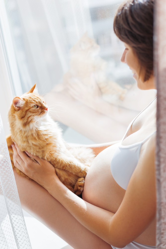 gravidanza e gatto